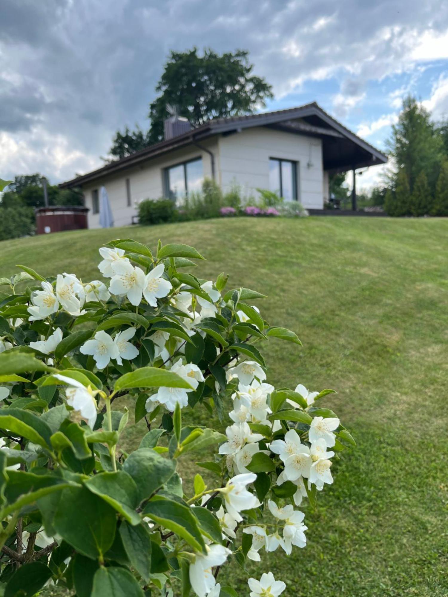 Vila Trakai Bagian luar foto