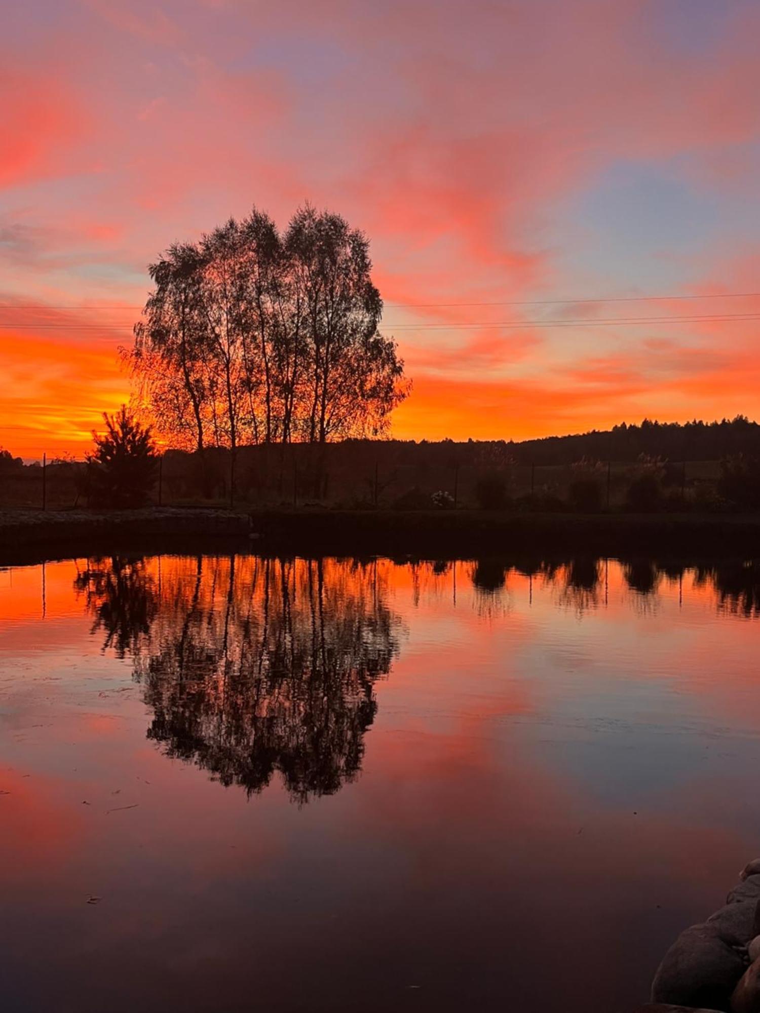 Vila Trakai Bagian luar foto